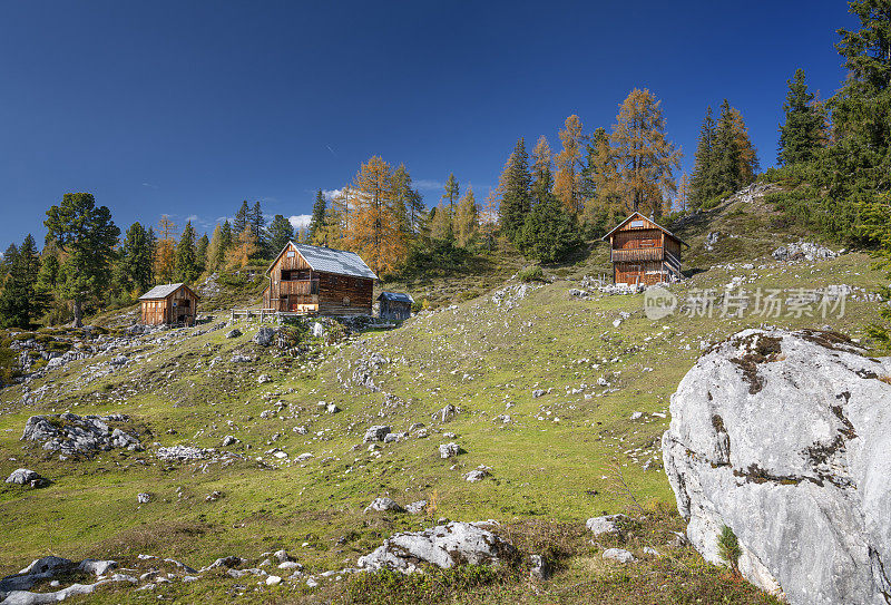 Handleralm, Zinken, Bad Aussee, Salzkammergut, Ausseerland，奥地利，奥地利阿尔卑斯山